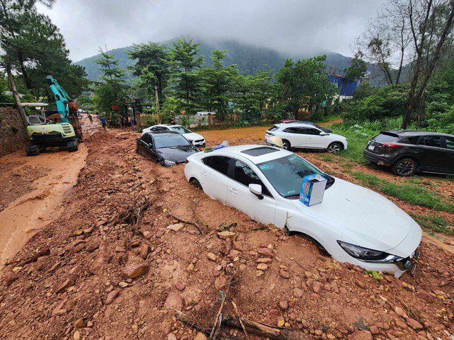 Hà Nội: Thanh tra, xử lý triệt để các trường hợp vi phạm về quản lý sử dụng đất, bảo vệ rừng - 1