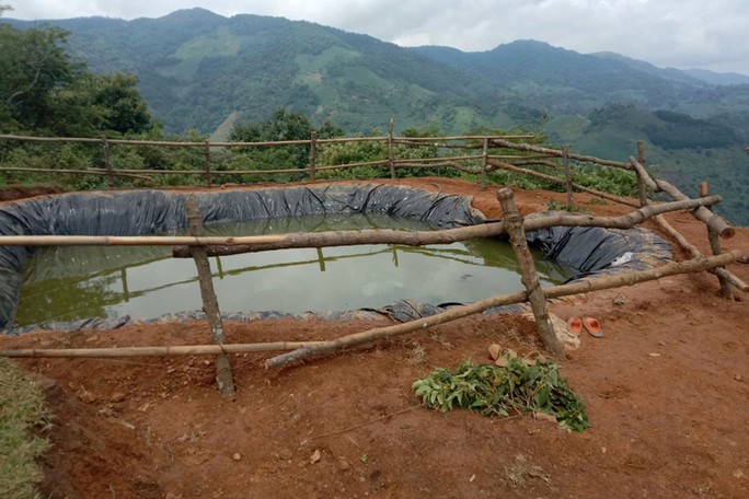 Bàng hoàng phát hiện thi thể 3 trẻ chăn trâu dưới hồ trữ nước - 1