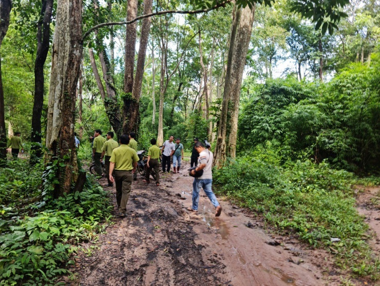 Làm hồ chứa nước Ka Pét trên 600ha đất rừng vì không còn vị trí nào khác - 6