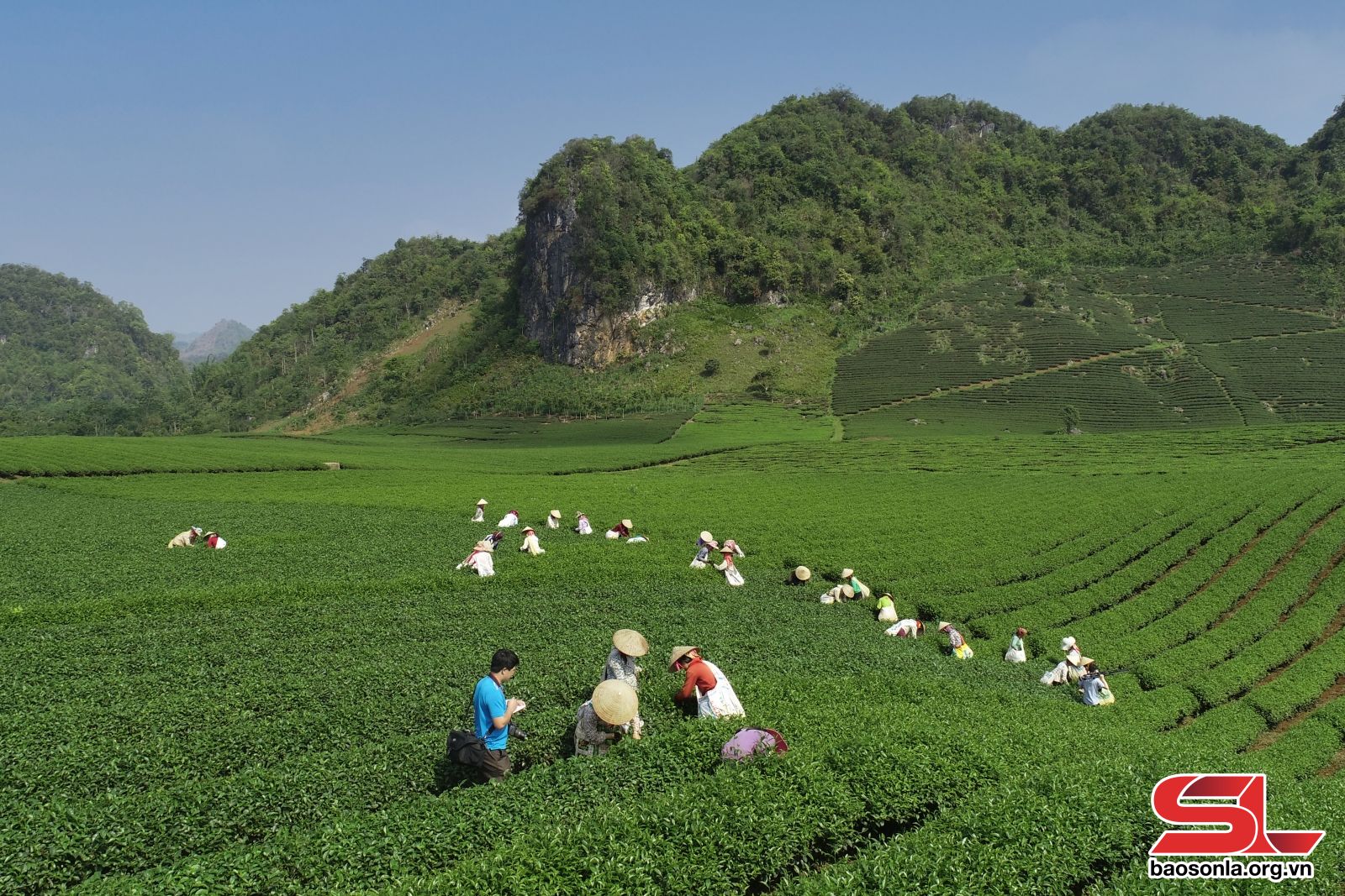 “Chìa khóa” phát triển nông nghiệp gắn với chế biến, tiêu thụ sản phẩm kỳ 1 - 1