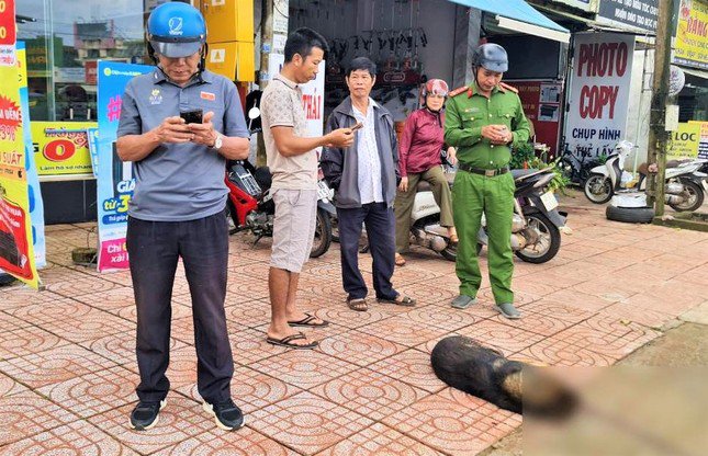 Hai học sinh ở Đắk Nông bị chó lạ tấn công, cắn rách miệng - 1