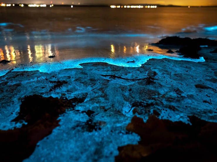 Vịnh Jervis, Úc: Đây là nơi có bãi biển cát trắng nhất hành tinh, nhưng du khách lại  thường đổ xô đến vùng vịnh rộng 102km2 này để tìm kiếm điều kỳ diệu sau khi trời tối. Vịnh Jervis là một trong số ít nơi trên hành tinh mà mọi người có thể nhìn thấy phát quang sinh học, khi hàng loạt sinh vật phù du phát sáng trong bóng tối và tạo nên một bãi biển phát sáng tuyệt đẹp.
