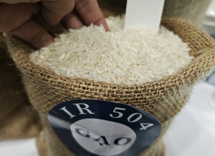 Lý do giá gạo xuất khẩu Việt Nam đột ngột rời đỉnh - 1