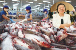 Nữ đại gia 62 tuổi người An Giang có thêm hơn 300 tỷ đồng trong ngày thị trường giảm mạnh