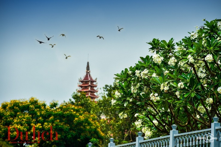 Du ngoạn sử xanh trên dòng kênh &#39;Nhiều Lộc&#39; - 1