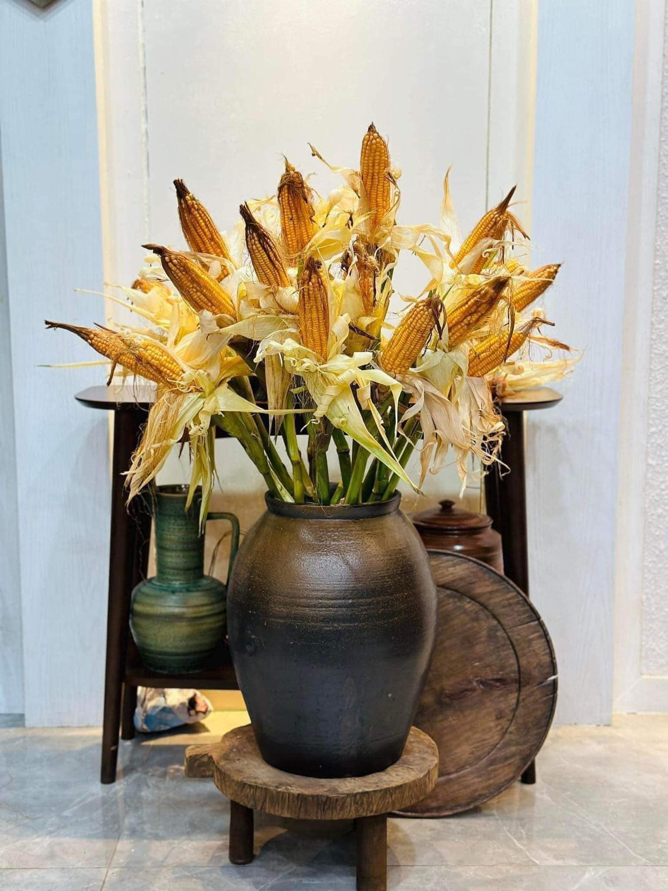 Kỳ lạ: Loại cây trước trồng lấy lương thực giờ cũng được mua về cắm chơi, giá đắt đỏ - 1
