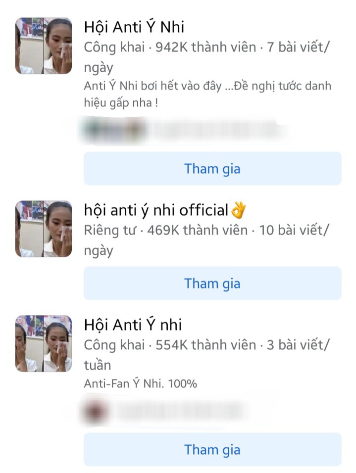 Giống hoa hậu Ý Nhi, Bùi Quỳnh Hoa vừa đăng quang đã bị lập group antifan hàng nghìn thành viên - 9