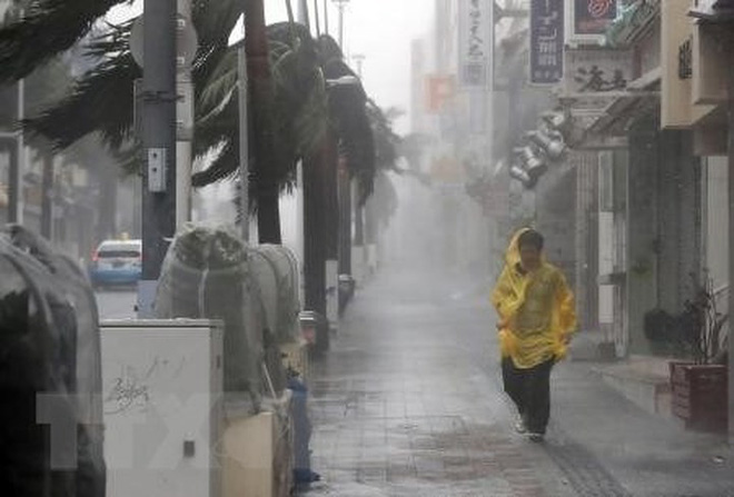 Hậu quả siêu bão Trami gây ra ở Nhật Bản - 1