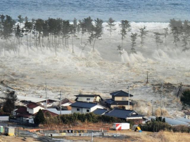Sóng thần ập vào Indonesia cao tới 11,3 mét