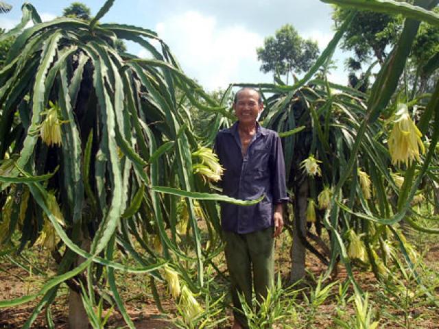Bí mật phía sau những thương vụ bán lan đột biến tiền tỷ