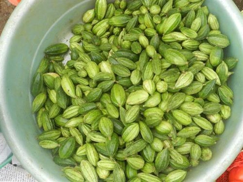 Các loại rau rừng “đỉnh nhất", ăn là nghiện của vùng Tây Bắc - 1