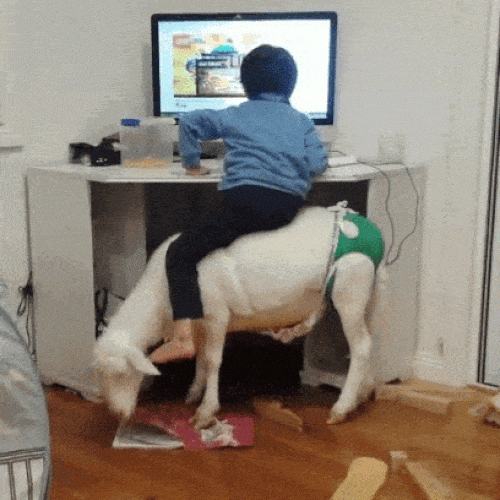 Những đứa trẻ hài hước nhất trên đời - 1