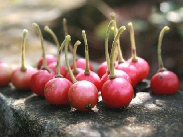 Những món thần thánh “ăn kèm roi” của tuổi thơ 8x, 9x