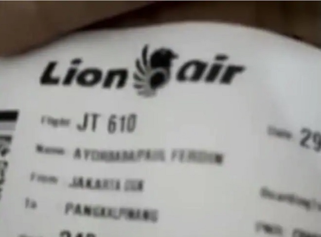 Video những phút cuối của hành khách trên máy bay Indonesia rơi - 1