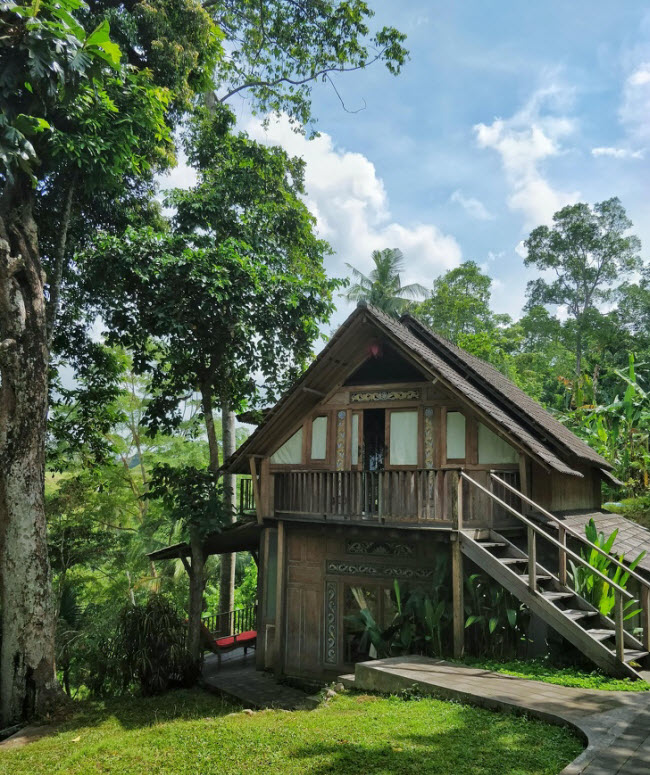 Ngôi nhà nhỏ nằm giữa không gian xanh mát ở Ubud, Bali, Indonesia.