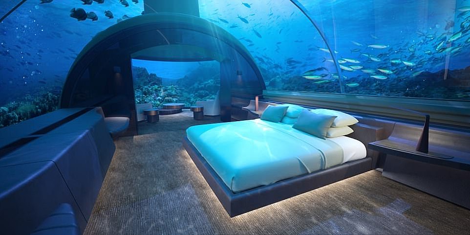 Ngủ cùng cá trong khách sạn đầu tiên dưới đáy đại dương - 1