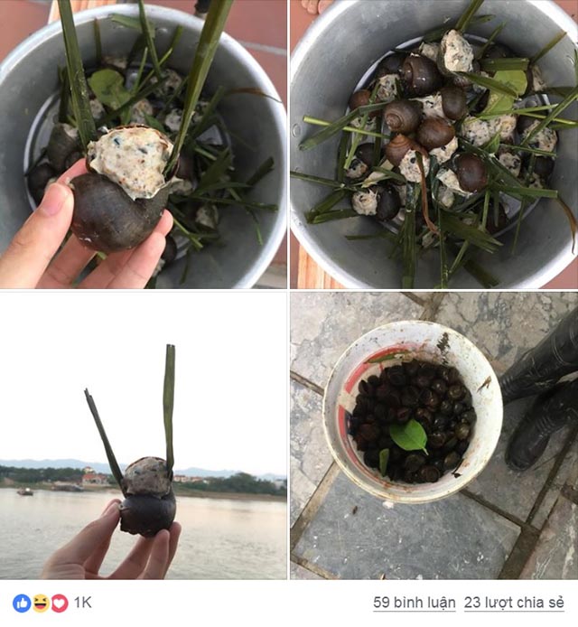 6 món ăn, mâm cơm khiến chị em like và share điên đảo suốt tuần qua - 1