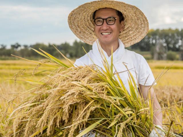 ”Nhĩ Khang” Châu Kiệt về quê trồng lúa mưu sinh: Sự thật bất ngờ