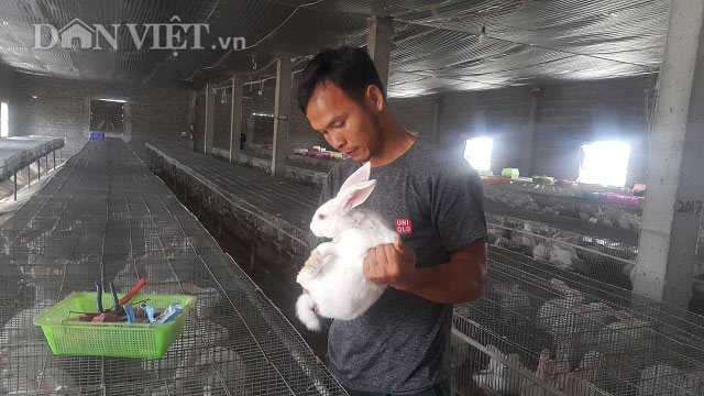 Làm giàu ở nông thôn: Bỏ nghề máy xúc về nuôi thỏ, lãi đều 15 triệu/tháng - 1