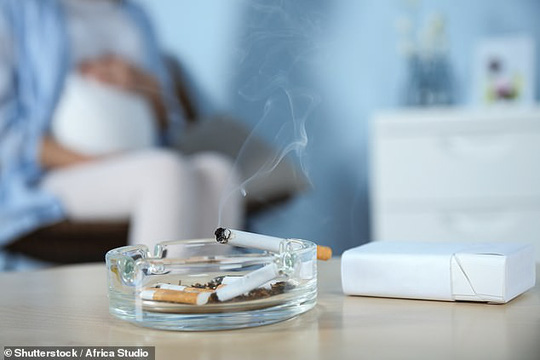 Thay đổi đáng sợ ở thai nhi nếu mẹ nhiễm khói thuốc lá - 1