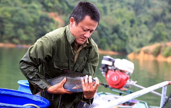 Nghệ An: Đổi đời nhờ nuôi những loài cá đặc sản trên hồ Hủa Na - 1
