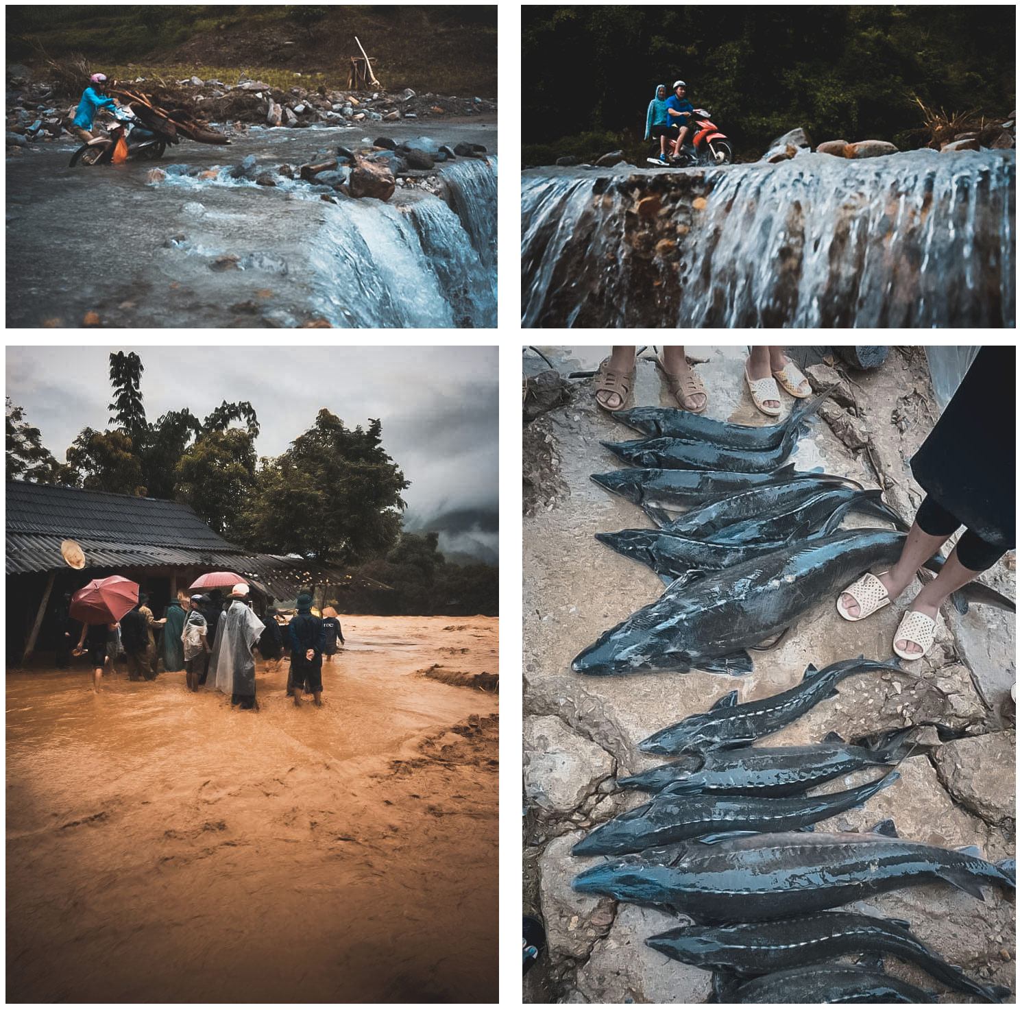Thiên tai 2018 – Đau thương và ám ảnh - 15