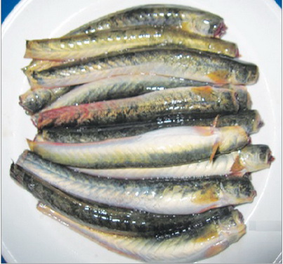 Về Cà Mau ăn cháo cá kèo - 2