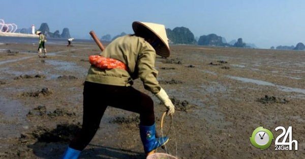 Theo chân những "ninja" săn vàng ròng tại Quảng Ninh