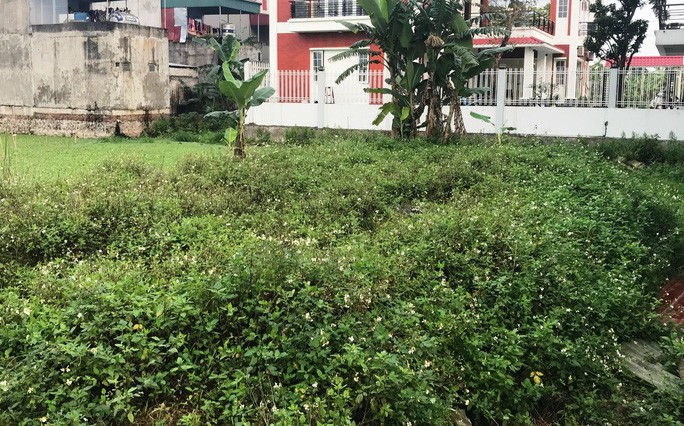 Để người nhà &#34;thâu tóm&#34; đất công, Chủ tịch xã mất chức - 1