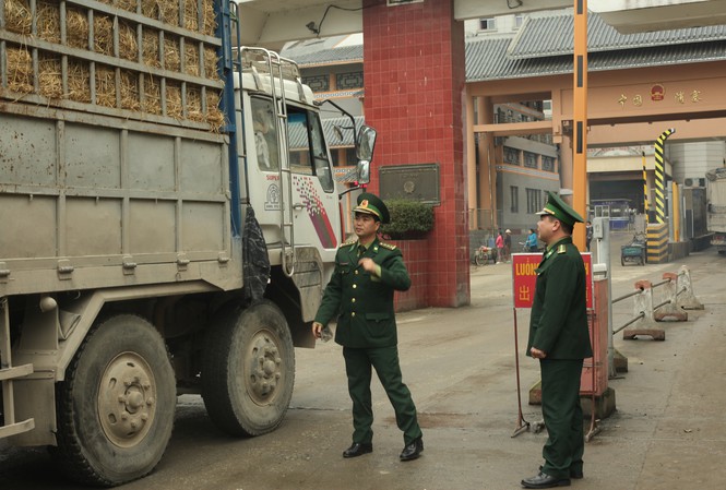 Nông sản tắc ở cửa khẩu Tân Thanh: Vì lẫn chôm chôm Thái Lan?