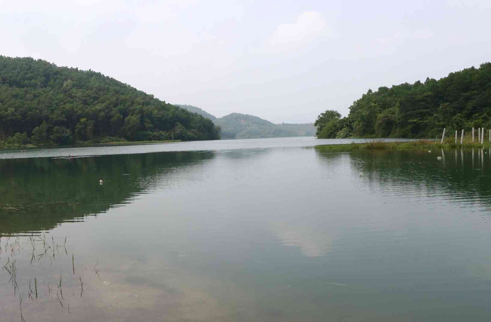 Sau vụ ô nhiễm nguồn nước, Hòa Bình đòi Công ty nước sạch Sông Đà trả hồ Đầm Bài - 1