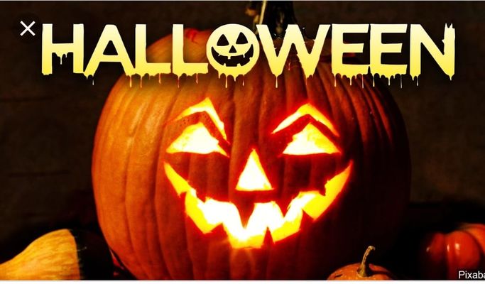 Halloween 2019: Vợ Tuấn Hưng hóa thỏ đen, Băng Di thành Nebula - 1