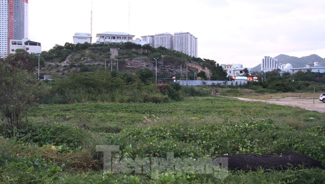Thu hồi dự án 33 triệu USD lấn biển Nha Trang để xây công viên - 8