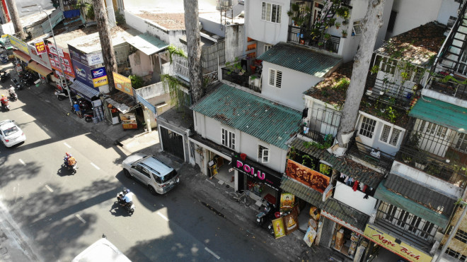 Cổ thụ "đâm" giữa nhà dân ở TP HCM - 2