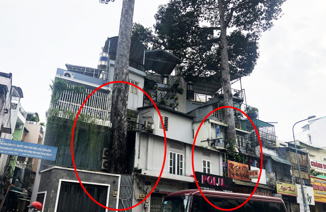 Cổ thụ "đâm" giữa nhà dân ở TP HCM - 4