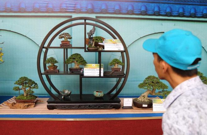 Cận cảnh những tác phẩm bonsai, suiseki tiền tỉ đổ bộ TP.HCM - 2
