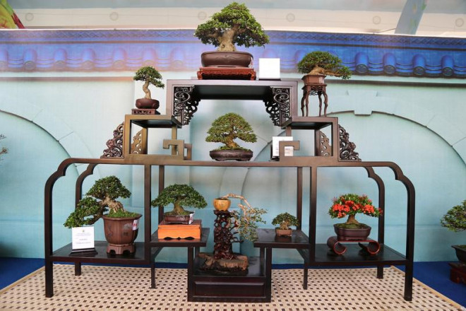 Cận cảnh những tác phẩm bonsai, suiseki tiền tỉ đổ bộ TP.HCM - 4