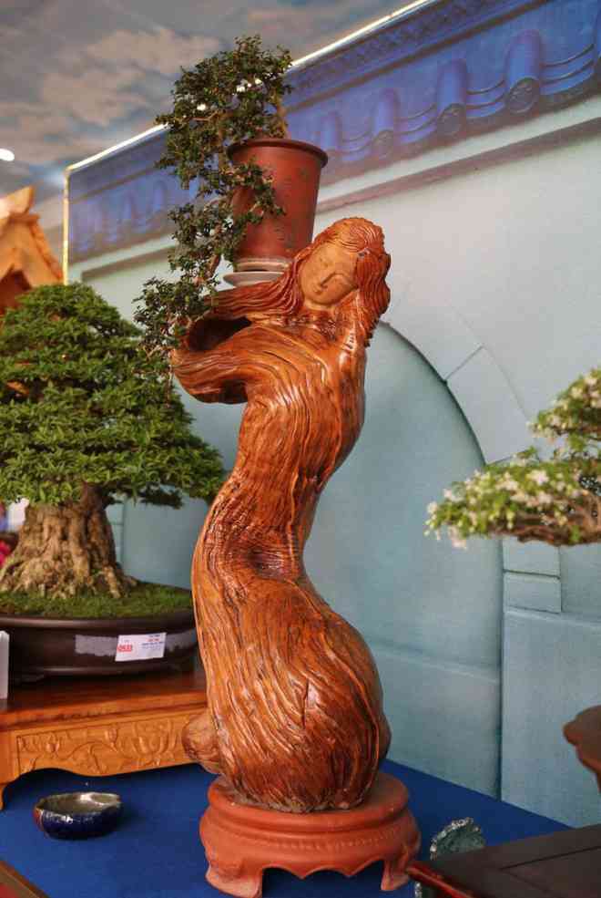 Cận cảnh những tác phẩm bonsai, suiseki tiền tỉ đổ bộ TP.HCM - 7