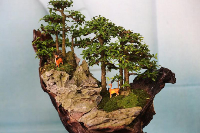 Cận cảnh những tác phẩm bonsai, suiseki tiền tỉ đổ bộ TP.HCM - 12