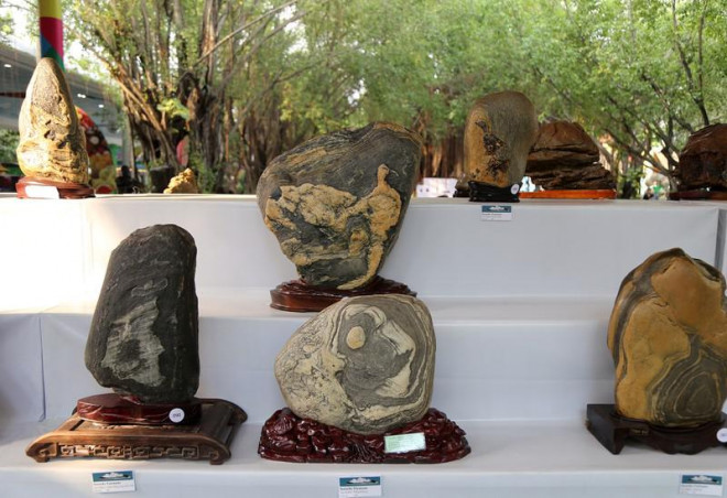 Cận cảnh những tác phẩm bonsai, suiseki tiền tỉ đổ bộ TP.HCM - 16