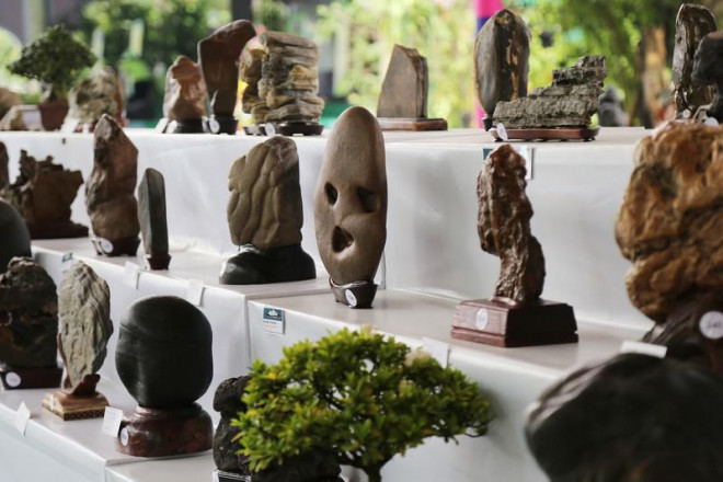 Cận cảnh những tác phẩm bonsai, suiseki tiền tỉ đổ bộ TP.HCM - 17