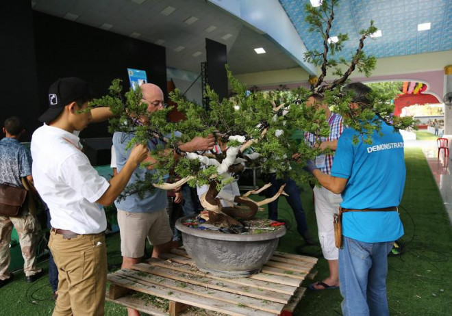Cận cảnh những tác phẩm bonsai, suiseki tiền tỉ đổ bộ TP.HCM - 15