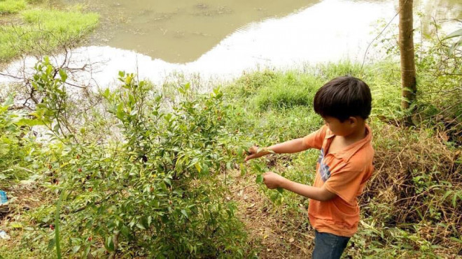 Cậu bé 10 tuổi sống cô độc, đi hàng trăm cây số đưa thi thể bố về chôn cất - 9