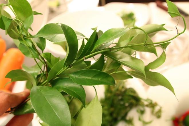 Những loại rau dại "ngon xuất sắc": Không thử một lần thì phí đời - 7