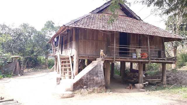 Lộ chiêu trò giả điên của nữ bị can trong vụ nữ sinh giao gà bị hãm hiếp, sát hại ở Điện Biên - 6