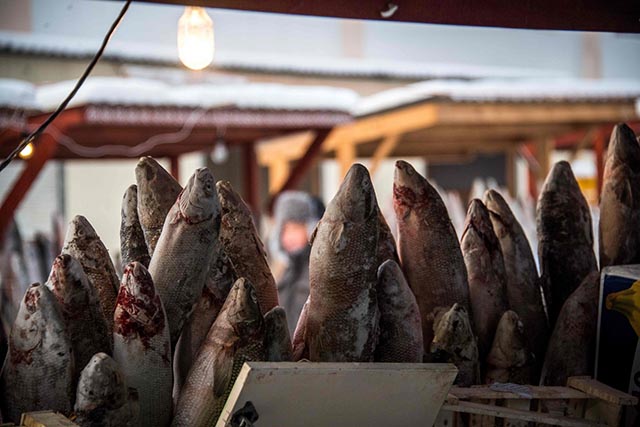 Đi chợ ở nơi lạnh nhất thế giới -50 độ có gì đặc biệt? - 2