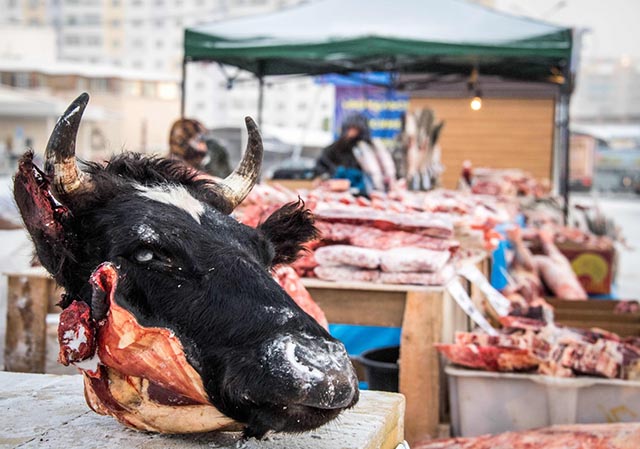 Đi chợ ở nơi lạnh nhất thế giới -50 độ có gì đặc biệt? - 5