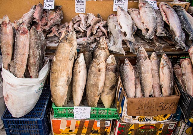 Đi chợ ở nơi lạnh nhất thế giới -50 độ có gì đặc biệt? - 7