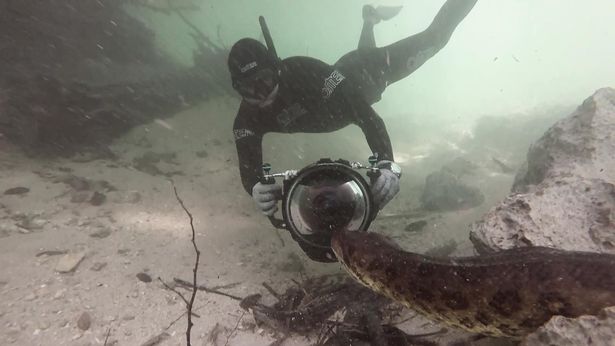 Nghẹt thở cảnh thợ lặn đối đầu trăn anaconda khổng lồ dài 6 mét dưới nước ở Brazil - 1