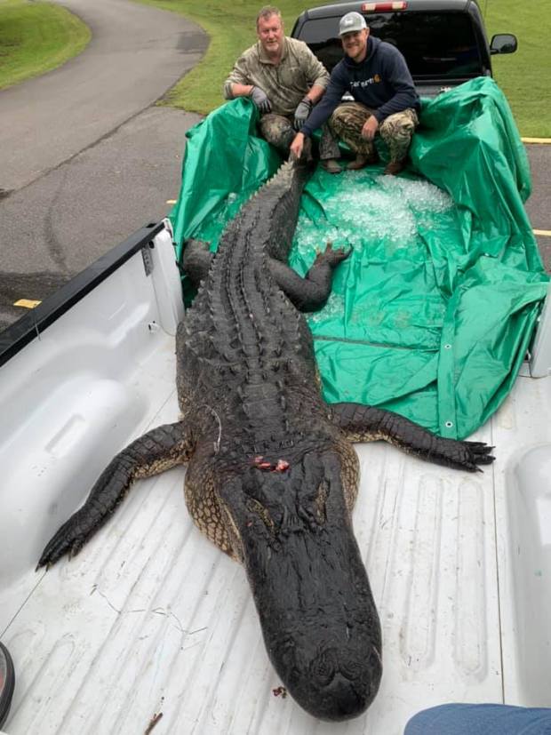 Mỹ: Cá sấu gần 400 kg lôi thuyền suốt 2 giờ và phát bắn chí mạng - 1